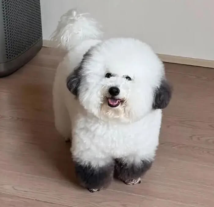 애니멀플래닛