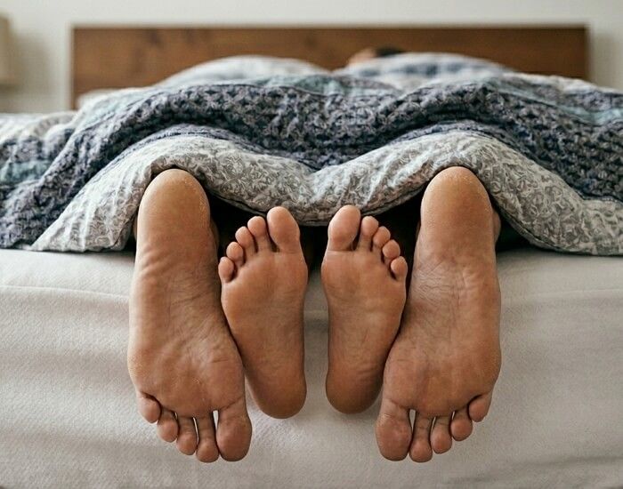 애니멀플래닛