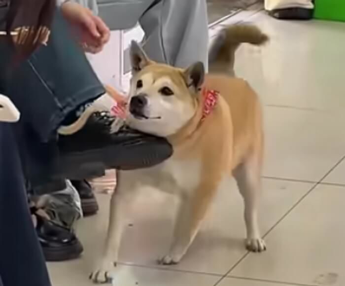 애니멀플래닛