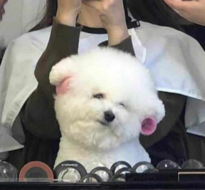 애니멀플래닛