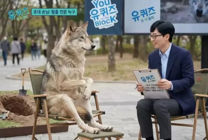 애니멀플래닛