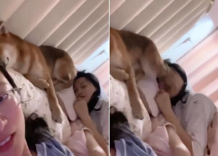 애니멀플래닛