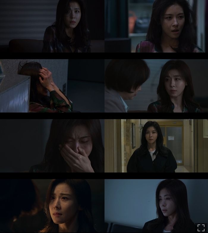 애니멀플래닛