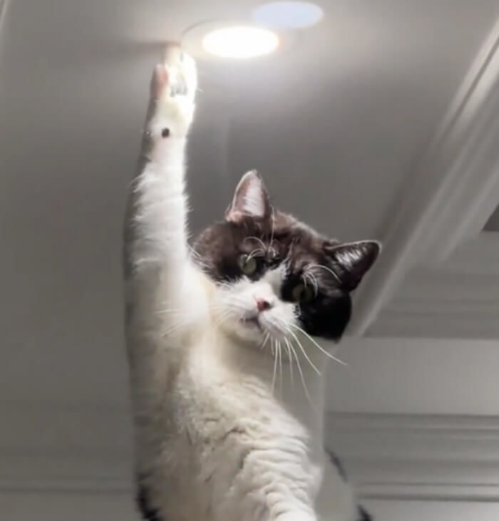 애니멀플래닛