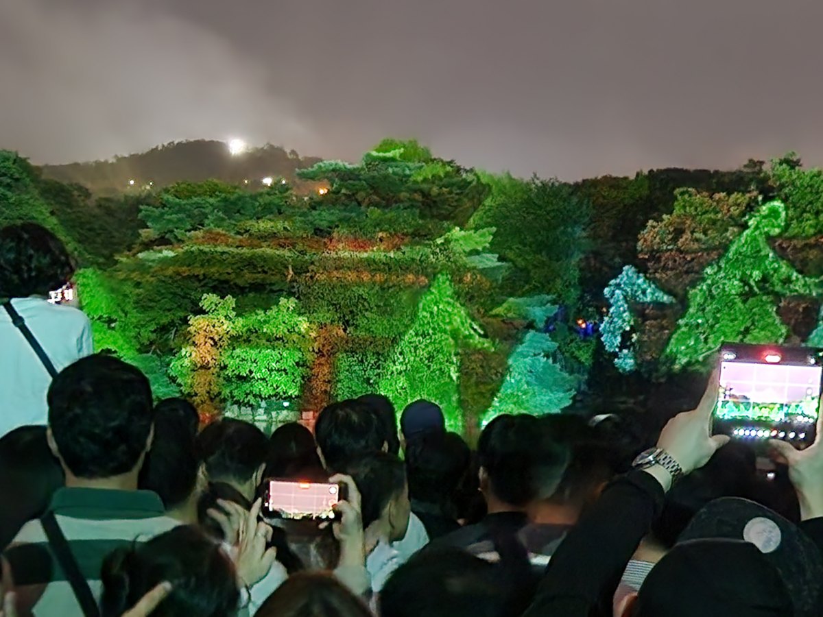 2026 창경궁 물빛연화 정보(사진은 작년 모습) / 직접촬영