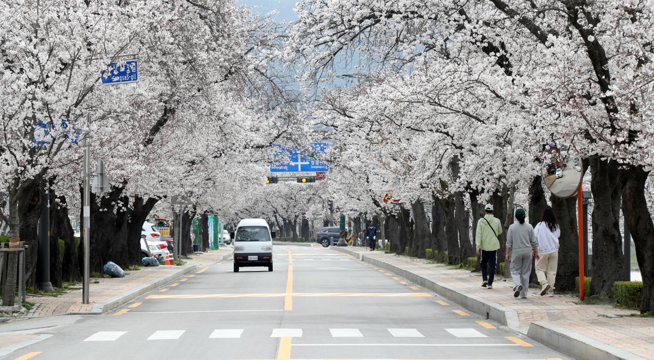 2026 공연 라인업 / 사진=정읍시