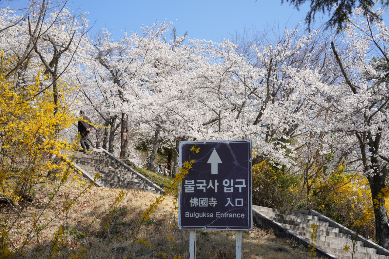 경북 경주 / 사진=경주문화관광