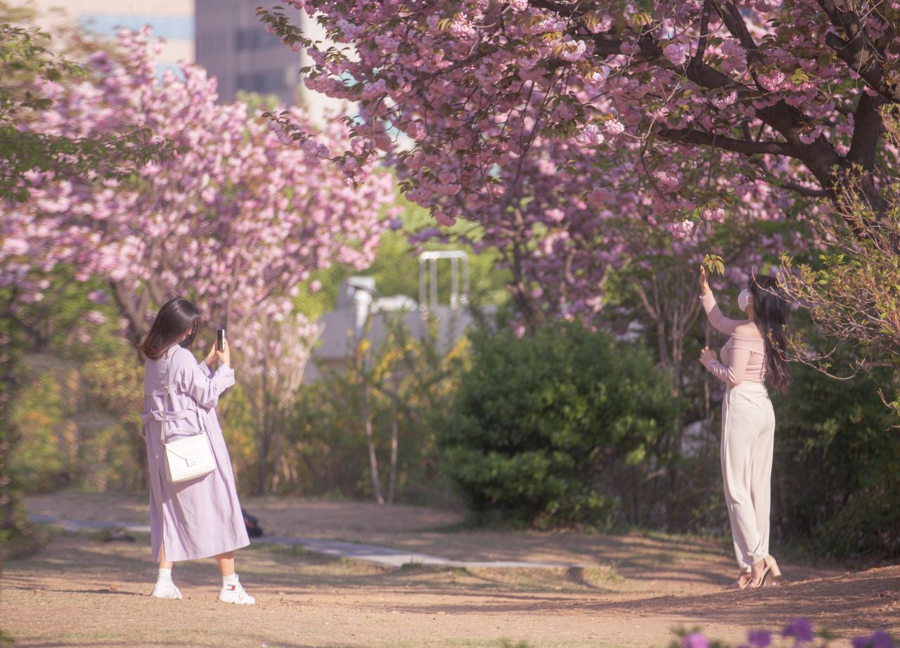 보라매공원 / 사진=서울관광재단