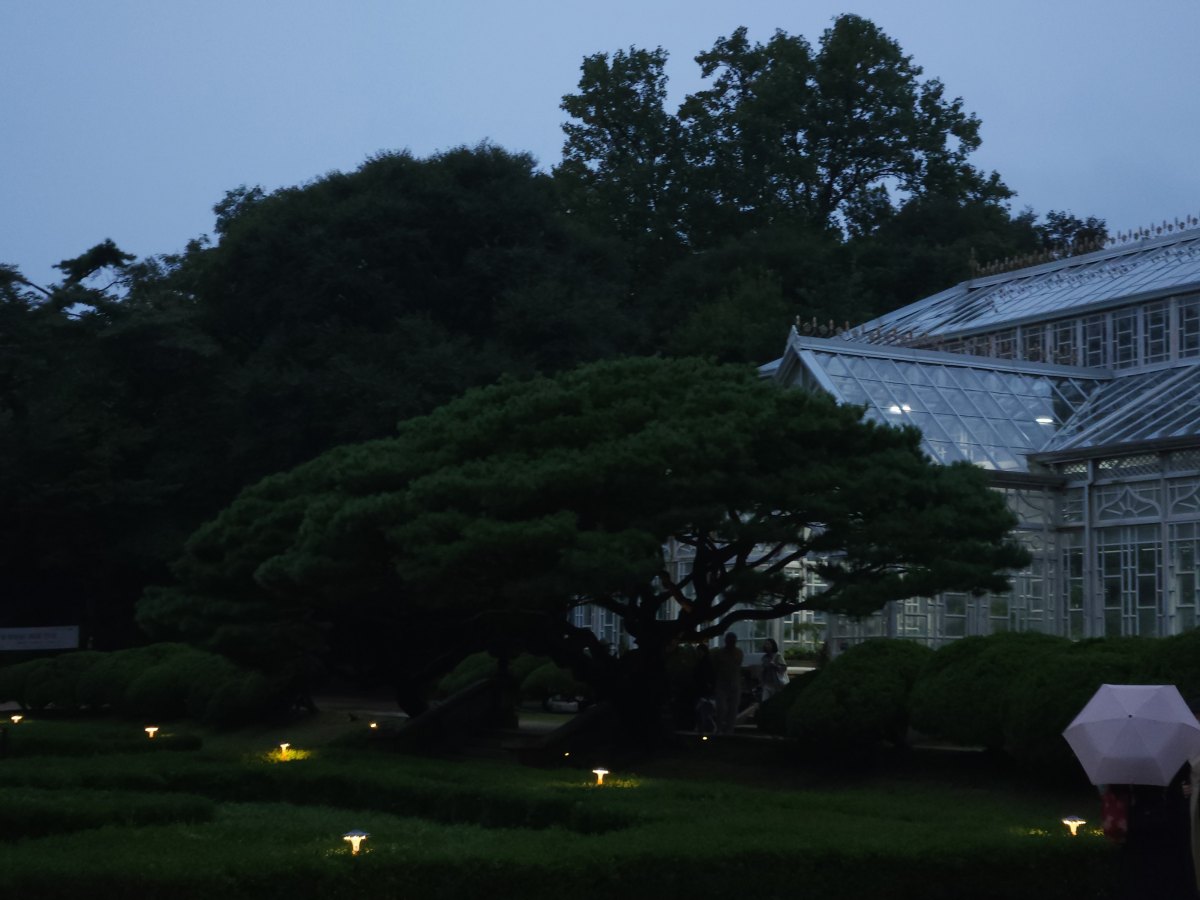 대온실 / 직접촬영