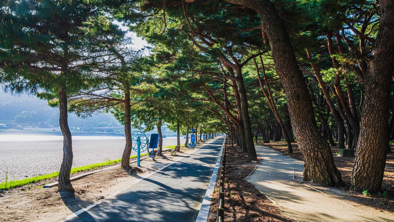 하동송림공원 / 사진=한국관광공사 포토코리아@김지호