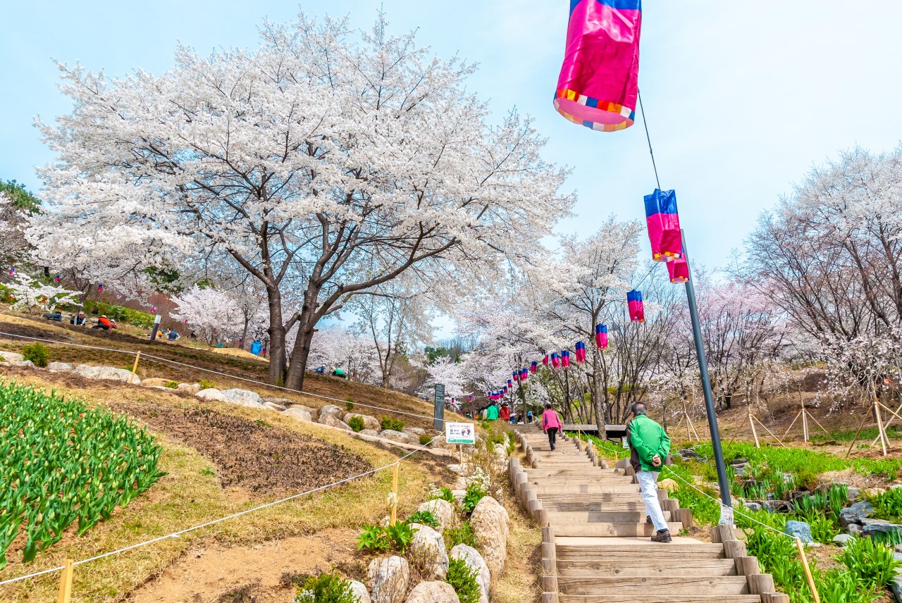 가는 방법 / 사진=서울관광재단