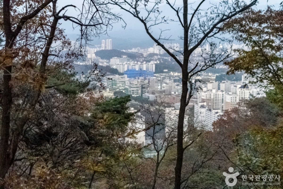 정상에서 본 원주 시내 / 사진=한국관광콘텐츠랩