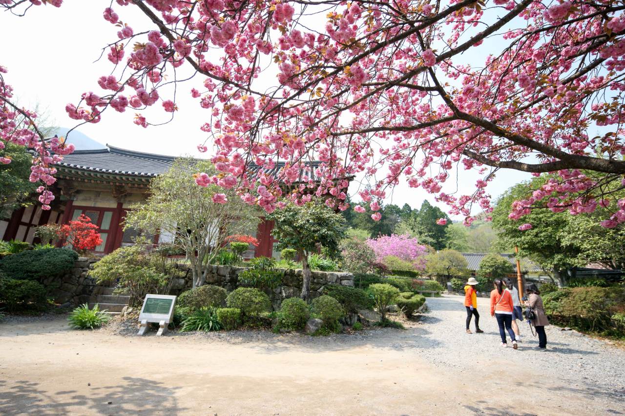 기본정보 / 사진=한국관광공사 포토코리아@김지호