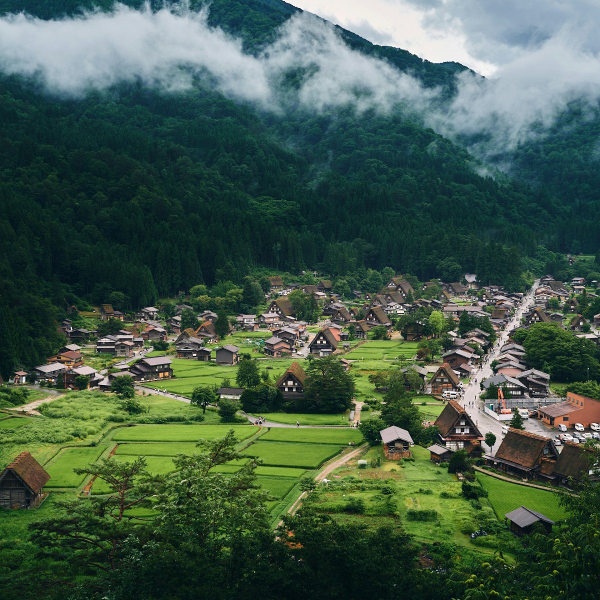 시라카와고 / 사진=unsplash@mark wang