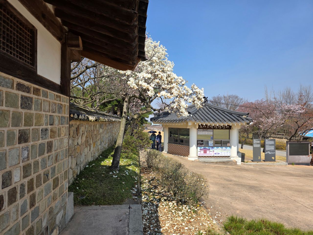 고택 방문 꿀팁