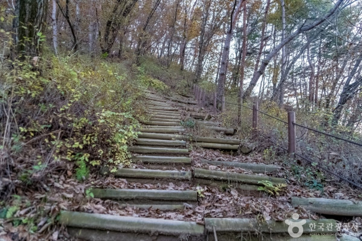 배부른산의 역사와 설화  / 사진=한국관광콘텐츠랩