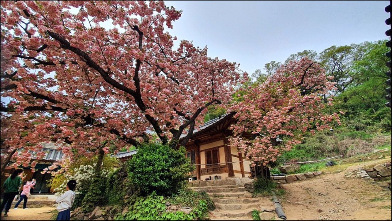사진=충남관광서포터즈