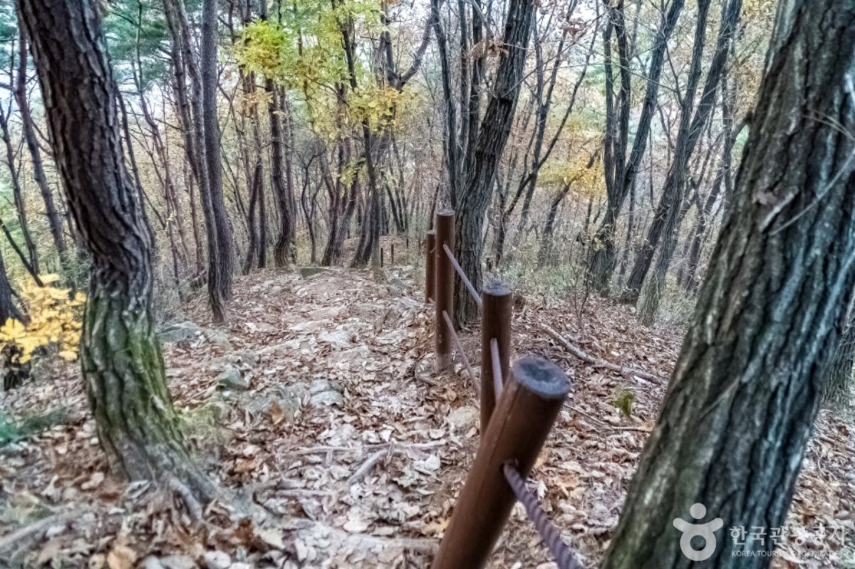 원주 굽이길 제1코스 / 사진=한국관광콘텐츠랩