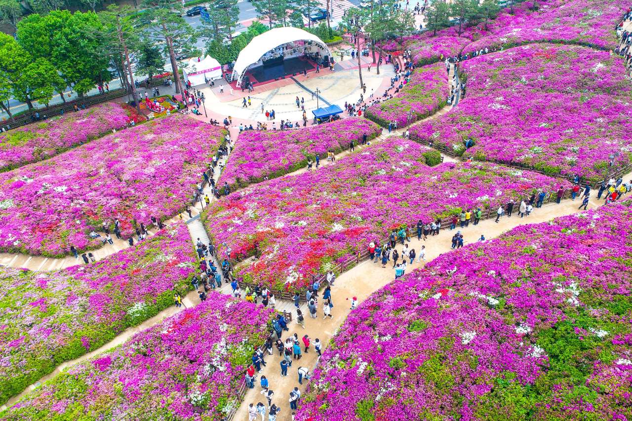 군포 철쭉동산
