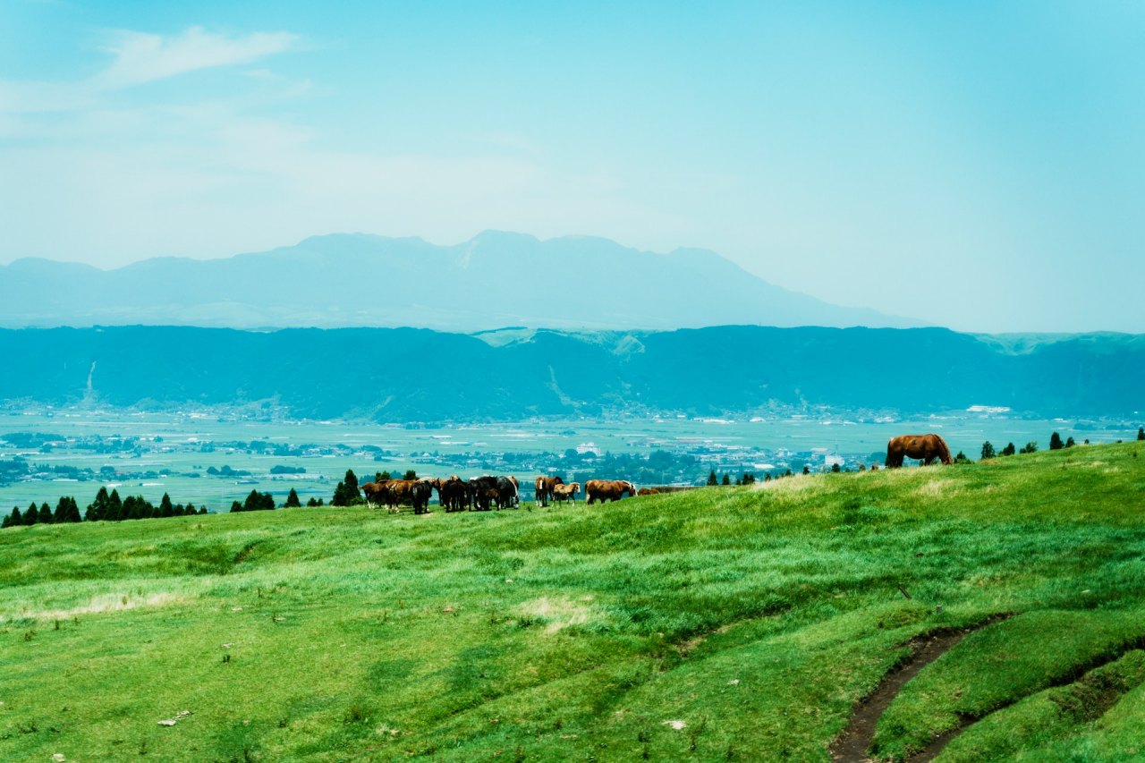 쿠사센리 초원 지대 / 사진=unsplash@A Y