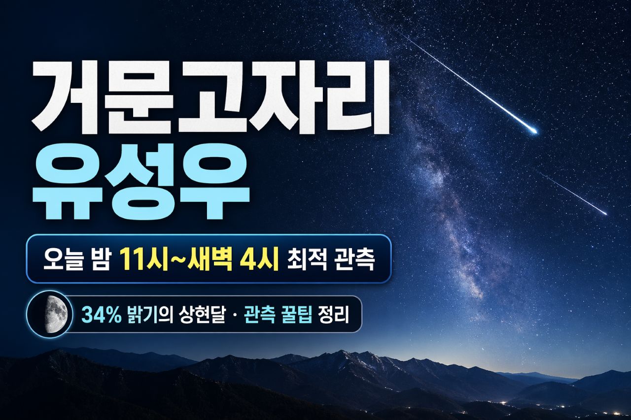거문고자리 유성우 오늘밤 피크 / ⓒ인포매틱스뷰