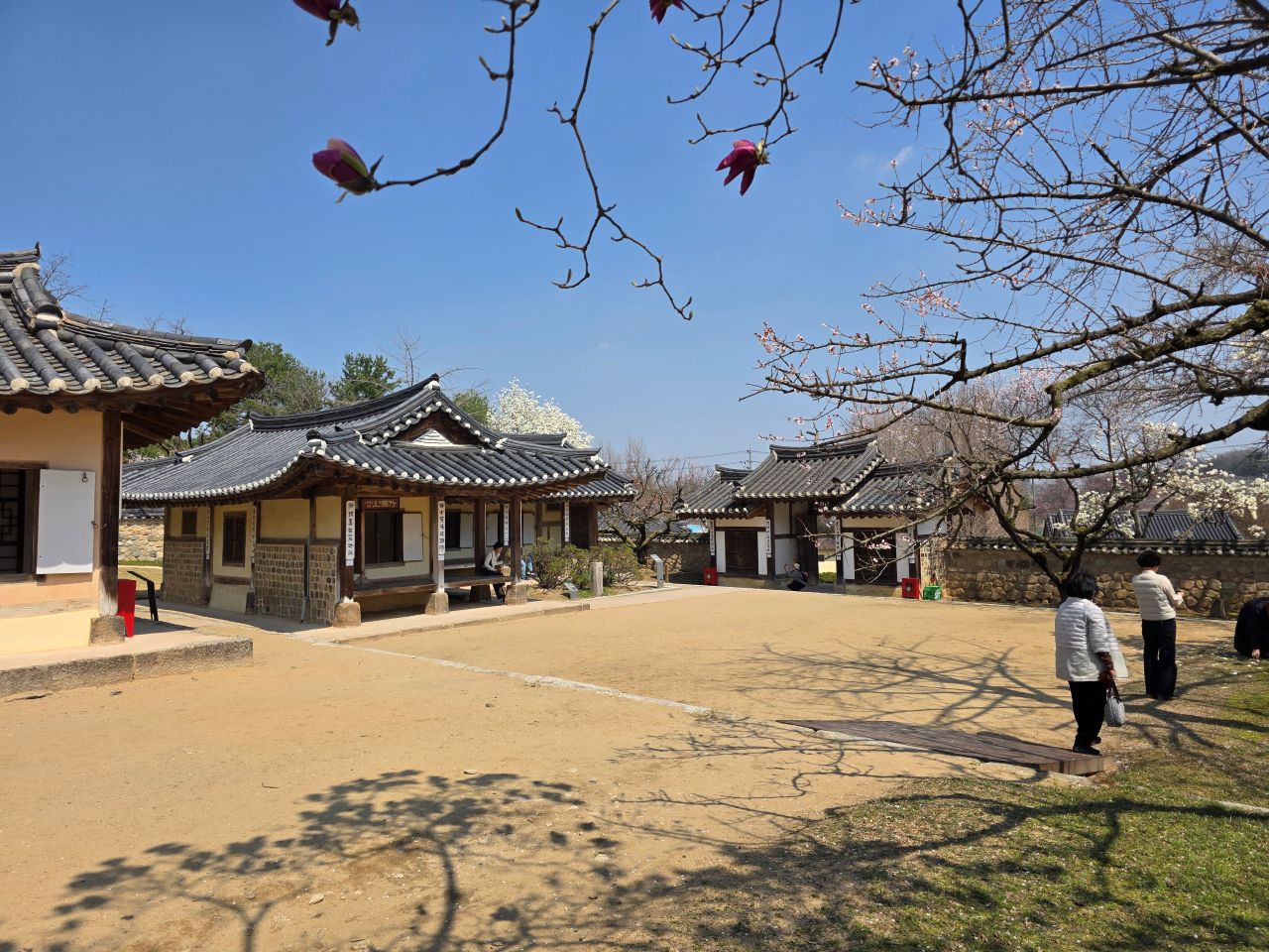 추사 김정희 고택을 만나다