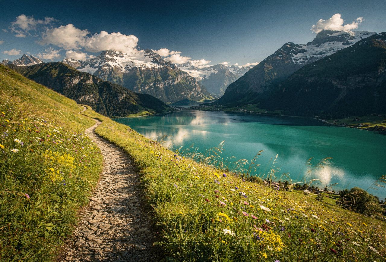 &nbsp;   Prime time for Alpine hiking / Designed by Freepik