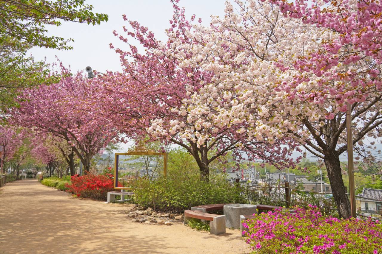 편도 2km 둑방길