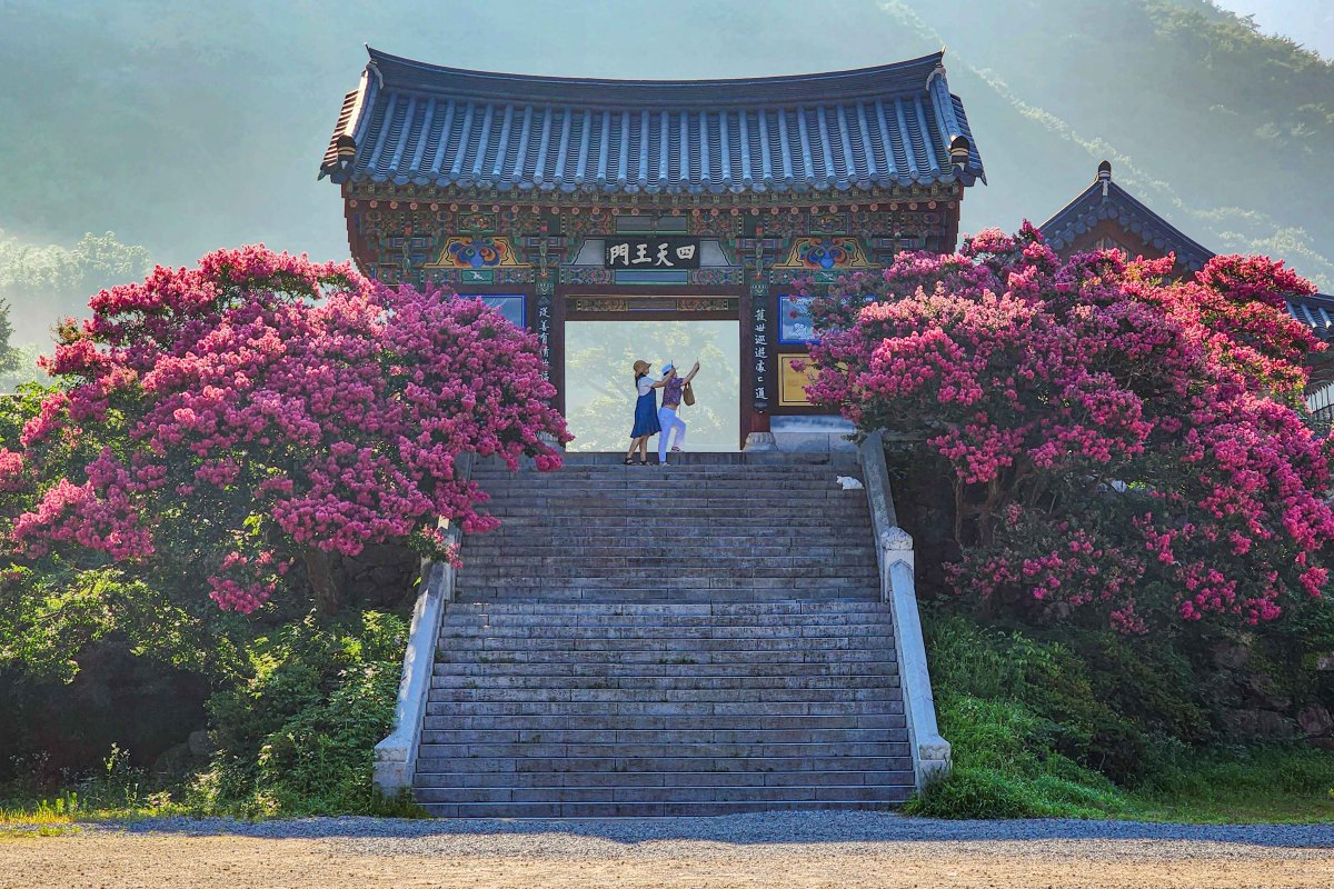 표충사의 여름 / 사진=한국관광공사 포토코리아@황우원