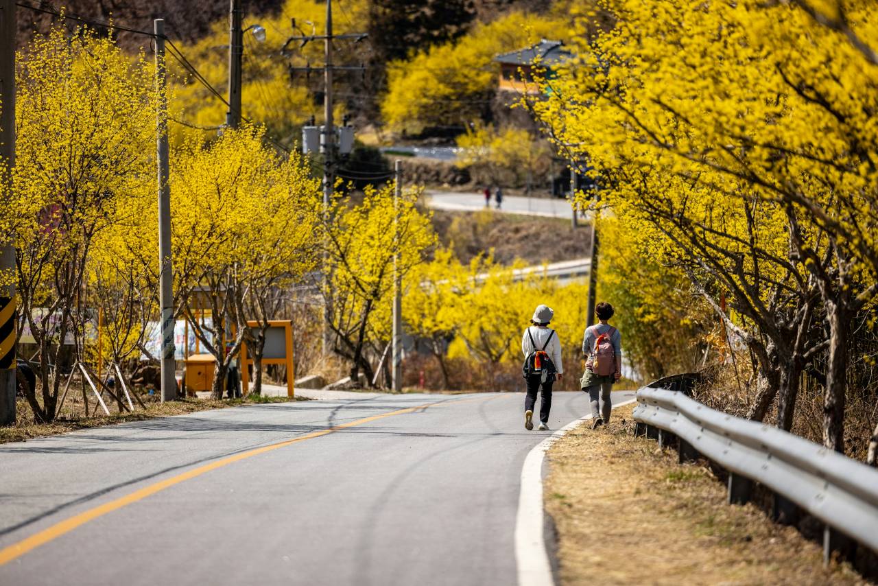 사진=unsplash@Photos of Korea