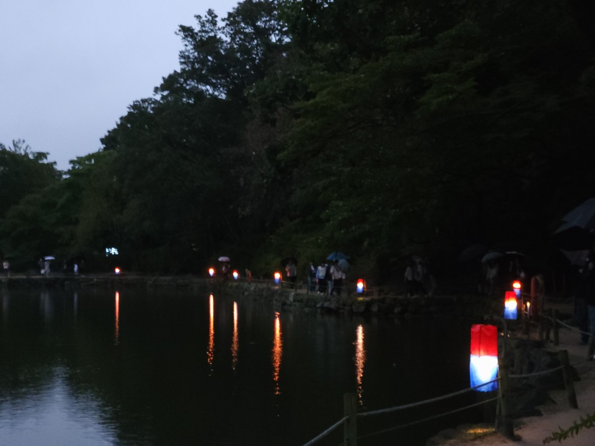 춘당지 야경 / 직접촬영