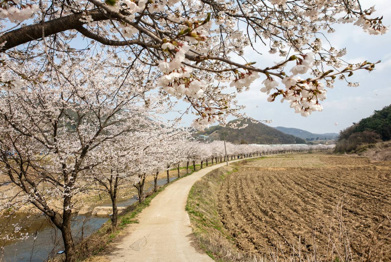 밤고지마을 / 온라인커뮤니티