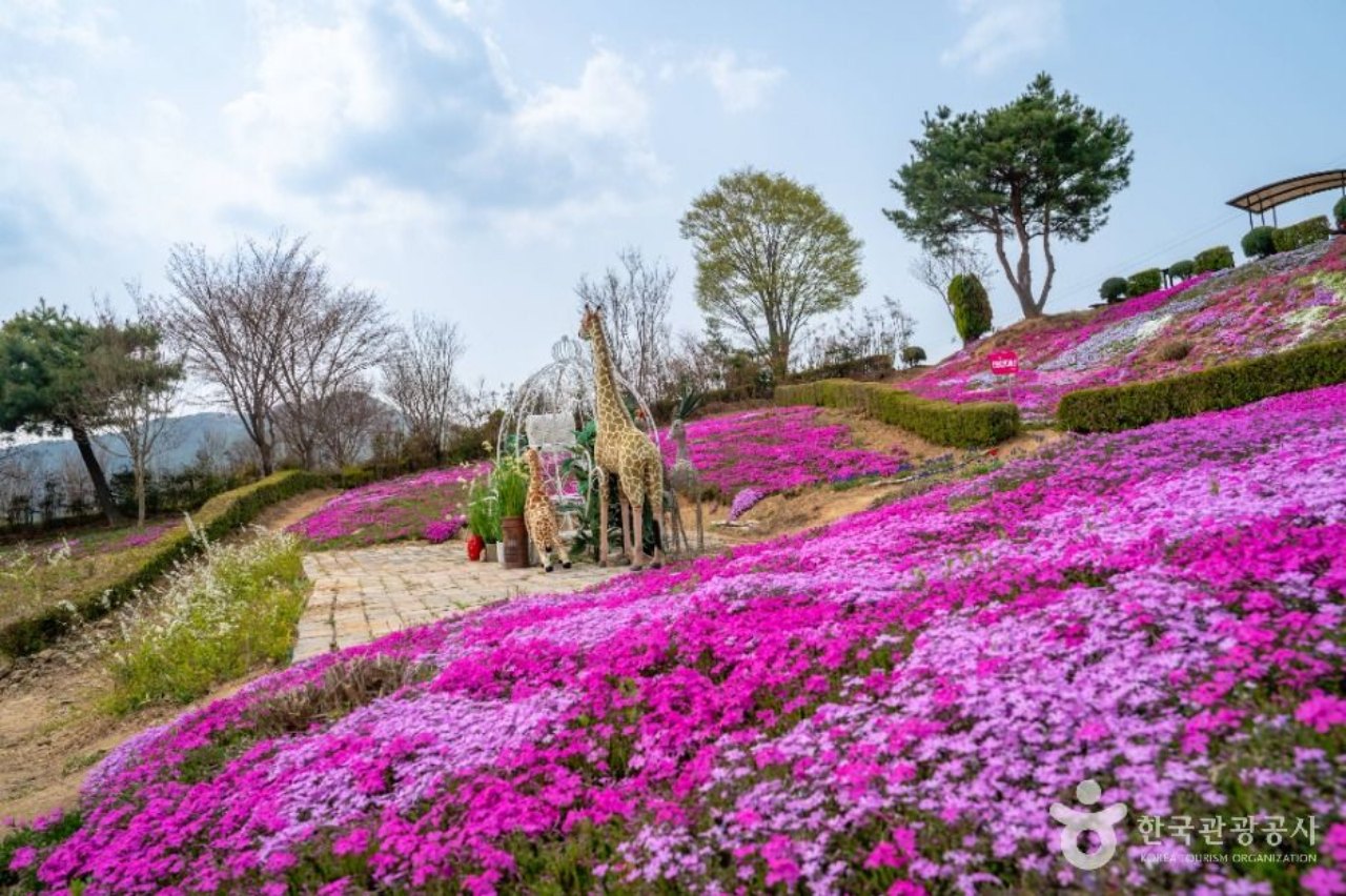 산책 코스