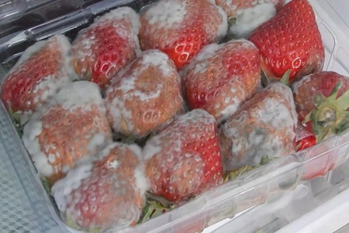 引用：SBS『アラフォー息子の成長日記』