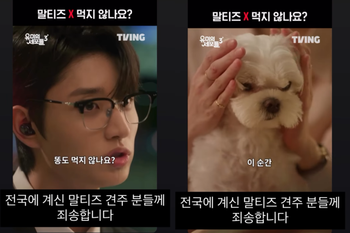 引用:キム・ジェウォンのSNSアカウント