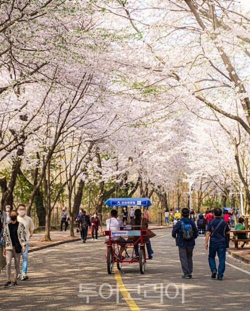 인천대공원(인천시제공)