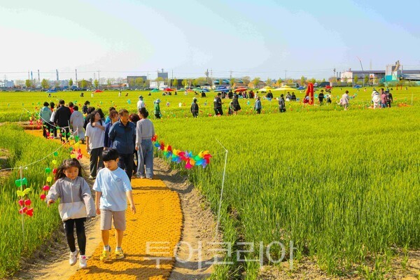 지난해 열린 군산꽁당보리축제장 모습. /사진-군산시