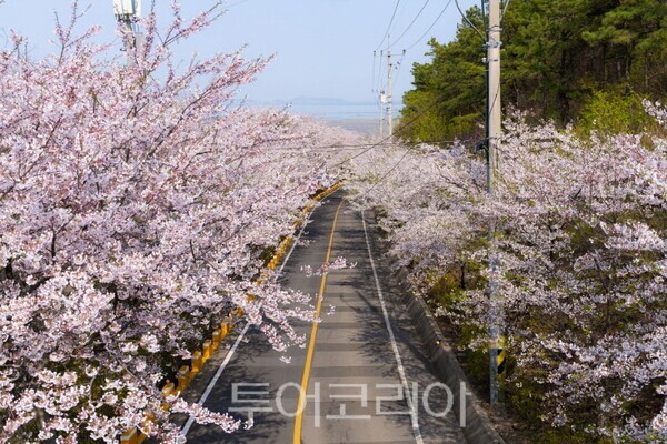 장봉도
