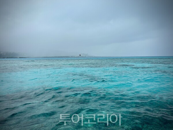 터키석빛 바다를 자랑하는 사이판 섬 / 사진- 박은하 기자
