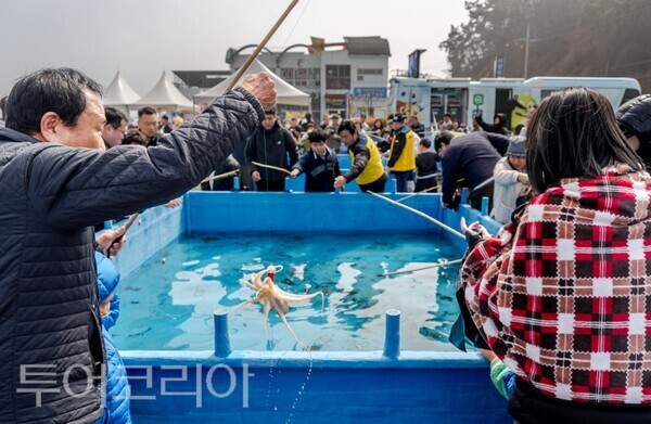 ▲‘제24회 서천 동백꽃 주꾸미 축제’ 현장을 찾은 관광객들이 주꾸미 낚시 체험을 하며 즐거워하고 있다. /사진-서천군