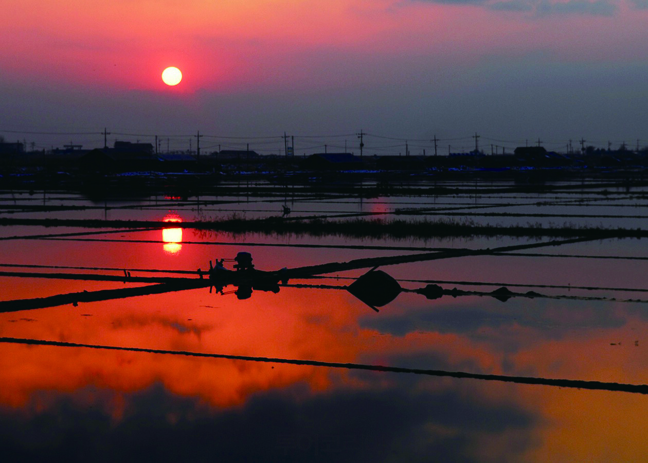 곰소염전 / 사진-부안군