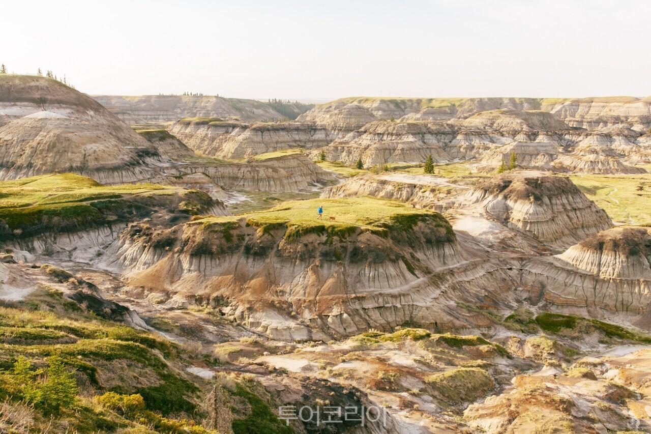 배드랜즈 ⓒ Travel Alberta  Stevin Tuchiwsky /사진-캐나다관광청