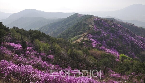 고려산
