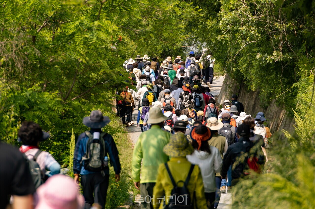 동서트레일 영주 구간 중 죽령옛길을 걷고 있는 사람들  /사진-영주시