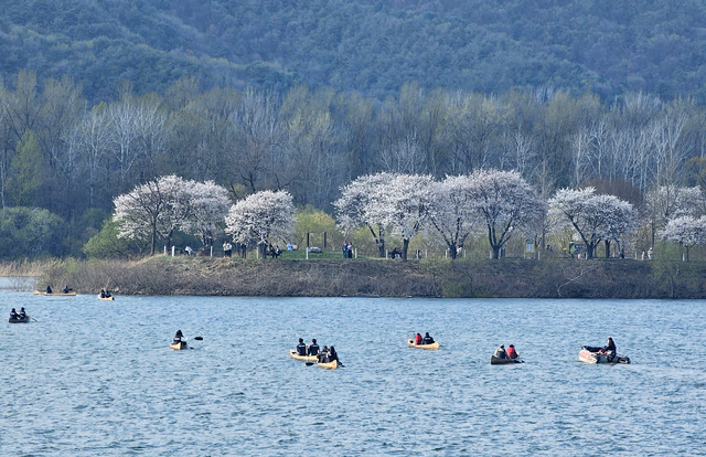 Top 5 Reasons to Experience Canoeing at Uiam Lake This Spring in Chuncheon