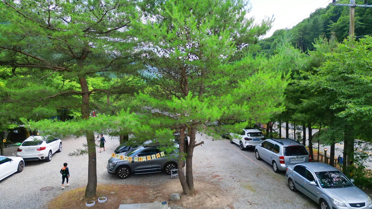 지구별캠프