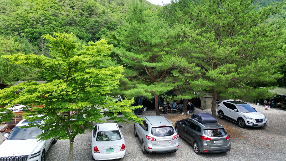 지구별캠프