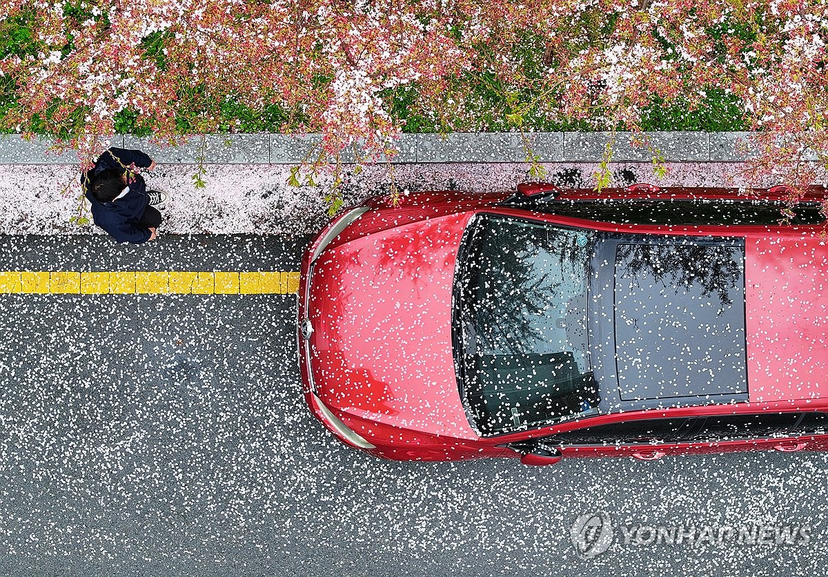 광주매일신문