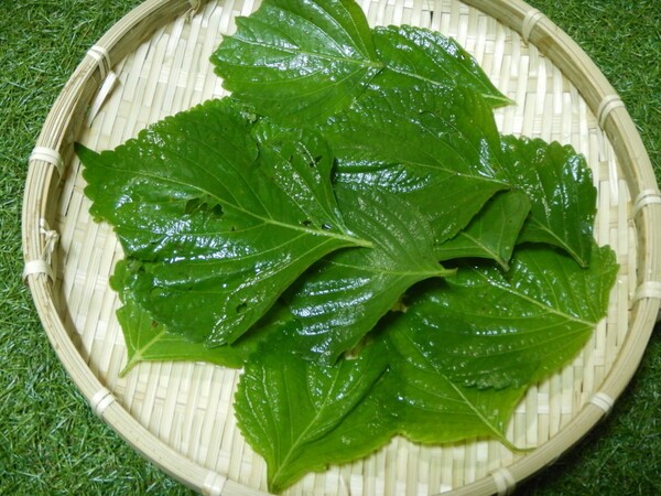 lostathomenomore