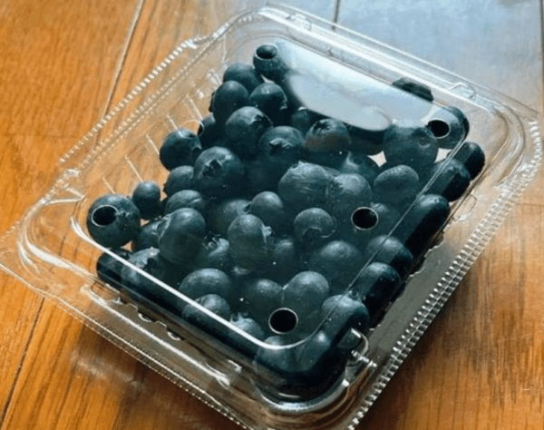 oceanblueberry